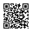 windows网卡切换小工具-趣奇资源网-第11张图片