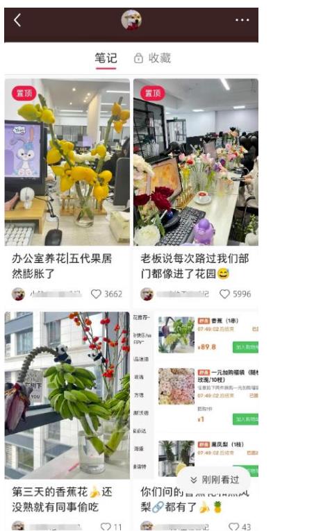 小红书导流快团团卖货实操案例 日引200+精准粉